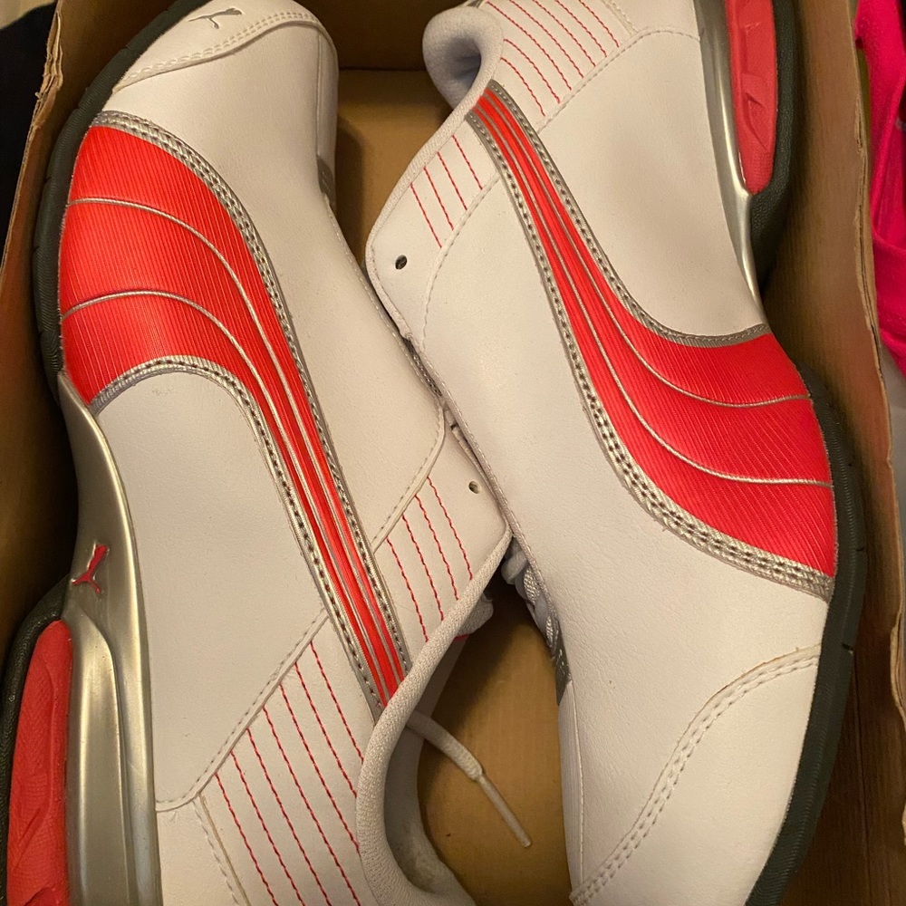White-Raspberry Puma Silver